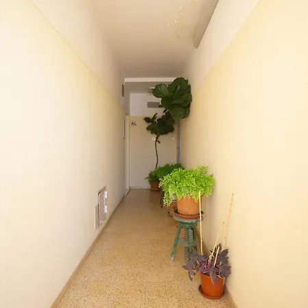 Apartman Akisol Star *